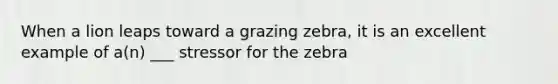 When a lion leaps toward a grazing zebra, it is an excellent example of a(n) ___ stressor for the zebra