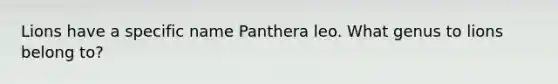 Lions have a specific name Panthera leo. What genus to lions belong to?