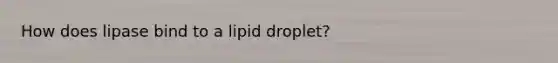 How does lipase bind to a lipid droplet?