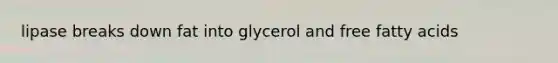 lipase breaks down fat into glycerol and free fatty acids