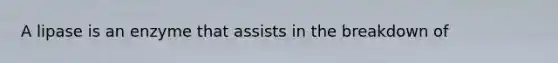 A lipase is an enzyme that assists in the breakdown of