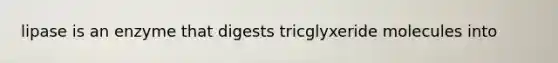 lipase is an enzyme that digests tricglyxeride molecules into