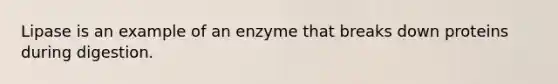 Lipase is an example of an enzyme that breaks down proteins during digestion.