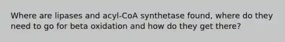 Where are lipases and acyl-CoA synthetase found, where do they need to go for beta oxidation and how do they get there?