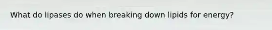 What do lipases do when breaking down lipids for energy?