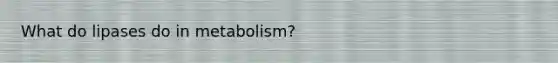 What do lipases do in metabolism?
