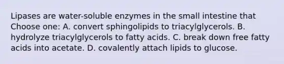 Lipases are water-soluble enzymes in the small intestine that Choose one: A. convert sphingolipids to triacylglycerols. B. hydrolyze triacylglycerols to fatty acids. C. break down free fatty acids into acetate. D. covalently attach lipids to glucose.