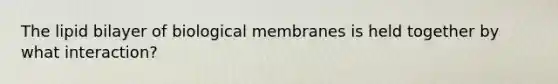 The lipid bilayer of biological membranes is held together by what interaction?