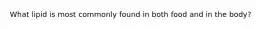 What lipid is most commonly found in both food and in the body?