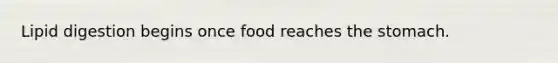 Lipid digestion begins once food reaches the stomach.