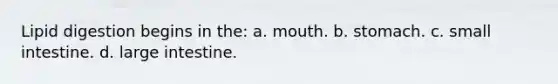 Lipid digestion begins in the: a. mouth. b. stomach. c. small intestine. d. large intestine.