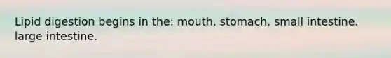 Lipid digestion begins in the: mouth. stomach. small intestine. large intestine.