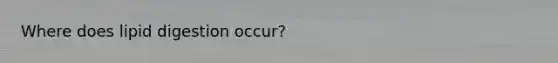 Where does lipid digestion occur?