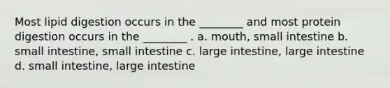 Most lipid digestion occurs in the ________ and most protein digestion occurs in the ________ . a. mouth, small intestine b. small intestine, small intestine c. large intestine, large intestine d. small intestine, large intestine