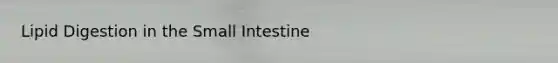 Lipid Digestion in the Small Intestine