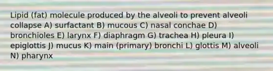 Lipid (fat) molecule produced by the alveoli to prevent alveoli collapse A) surfactant B) mucous C) nasal conchae D) bronchioles E) larynx F) diaphragm G) trachea H) pleura I) epiglottis J) mucus K) main (primary) bronchi L) glottis M) alveoli N) pharynx