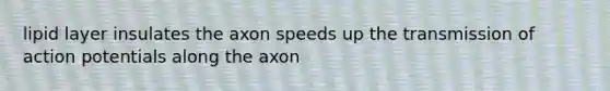 lipid layer insulates the axon speeds up the transmission of action potentials along the axon