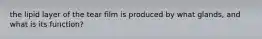 the lipid layer of the tear film is produced by what glands, and what is its function?
