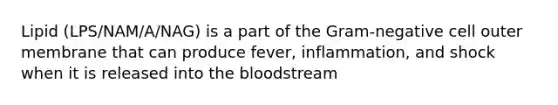 Lipid (LPS/NAM/A/NAG) is a part of the Gram-negative cell outer membrane that can produce fever, inflammation, and shock when it is released into the bloodstream