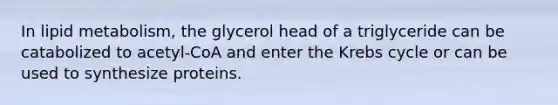 In lipid metabolism, the glycerol head of a triglyceride can be catabolized to acetyl-CoA and enter the Krebs cycle or can be used to synthesize proteins.