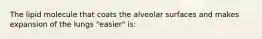 The lipid molecule that coats the alveolar surfaces and makes expansion of the lungs "easier" is: