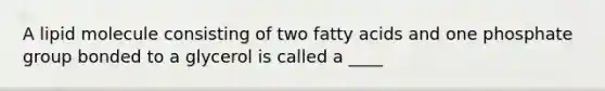 A lipid molecule consisting of two fatty acids and one phosphate group bonded to a glycerol is called a ____