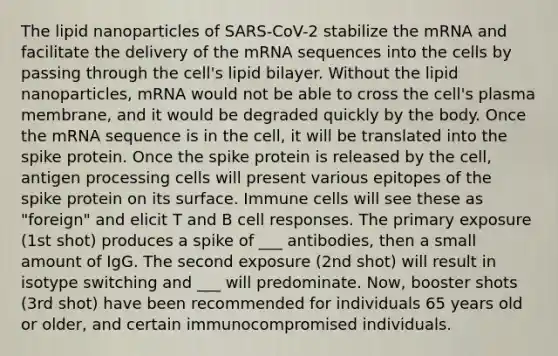 The lipid nanoparticles of SARS-CoV-2 stabilize the mRNA and facilitate the delivery of the mRNA sequences into the cells by passing through the cell's lipid bilayer. Without the lipid nanoparticles, mRNA would not be able to cross the cell's plasma membrane, and it would be degraded quickly by the body. Once the mRNA sequence is in the cell, it will be translated into the spike protein. Once the spike protein is released by the cell, antigen processing cells will present various epitopes of the spike protein on its surface. Immune cells will see these as "foreign" and elicit T and B cell responses. The primary exposure (1st shot) produces a spike of ___ antibodies, then a small amount of IgG. The second exposure (2nd shot) will result in isotype switching and ___ will predominate. Now, booster shots (3rd shot) have been recommended for individuals 65 years old or older, and certain immunocompromised individuals.