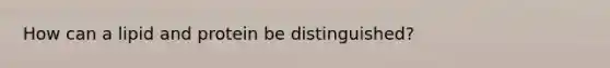 How can a lipid and protein be distinguished?