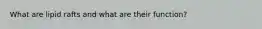 What are lipid rafts and what are their function?