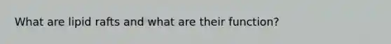 What are lipid rafts and what are their function?