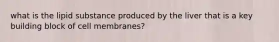 what is the lipid substance produced by the liver that is a key building block of cell membranes?