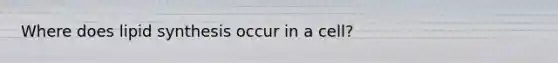 Where does lipid synthesis occur in a cell?