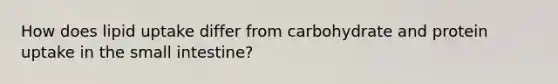 How does lipid uptake differ from carbohydrate and protein uptake in the small intestine?