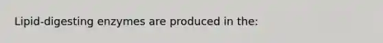 Lipid-digesting enzymes are produced in the: