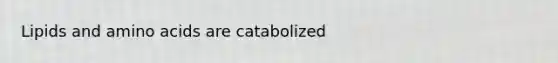 Lipids and amino acids are catabolized