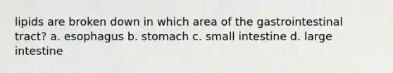 lipids are broken down in which area of the gastrointestinal tract? a. esophagus b. stomach c. small intestine d. large intestine