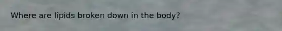 Where are lipids broken down in the body?