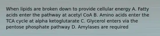 When lipids are broken down to provide cellular energy A. Fatty acids enter the pathway at acetyl CoA B. Amino acids enter the TCA cycle at alpha ketoglutarate C. Glycerol enters via the pentose phosphate pathway D. Amylases are required