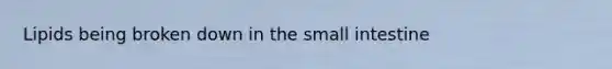 Lipids being broken down in the small intestine