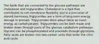 The lipids that are connected to the glucose pathways are cholesterol and triglycerides. Cholesterol is a lipid that contributes to cell membrane flexibility and is a precursor of steroid hormones.Triglycerides are a form of long-term energy storage in animals. Triglycerides store about twice as much energy as carbohydrates. Triglycerides can be both made and broken down through parts of the glucose catabolism pathways. Glycerol can be phosphorylated and proceeds through glycolysis. Fatty acids are broken into two-carbon units that enter the citric acid cycle.