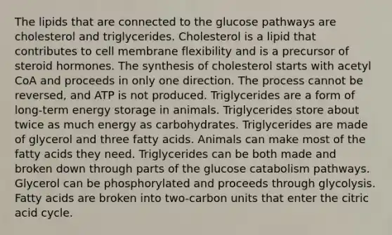 The lipids that are connected to the glucose pathways are cholesterol and triglycerides. Cholesterol is a lipid that contributes to cell membrane flexibility and is a precursor of steroid hormones. The synthesis of cholesterol starts with acetyl CoA and proceeds in only one direction. The process cannot be reversed, and ATP is not produced. Triglycerides are a form of long-term <a href='https://www.questionai.com/knowledge/kuip5t73aA-energy-storage' class='anchor-knowledge'>energy storage</a> in animals. Triglycerides store about twice as much energy as carbohydrates. Triglycerides are made of glycerol and three fatty acids. Animals can make most of the fatty acids they need. Triglycerides can be both made and broken down through parts of the glucose catabolism pathways. Glycerol can be phosphorylated and proceeds through glycolysis. Fatty acids are broken into two-carbon units that enter the citric acid cycle.