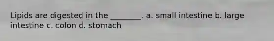 Lipids are digested in the ________. a. small intestine b. large intestine c. colon d. stomach