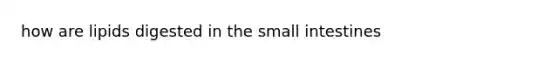 how are lipids digested in the small intestines