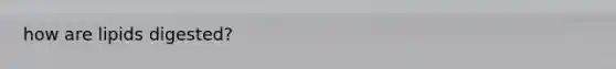 how are lipids digested?