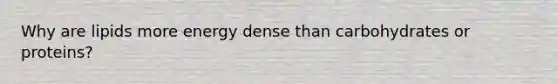 Why are lipids more energy dense than carbohydrates or proteins?