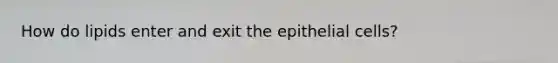 How do lipids enter and exit the epithelial cells?