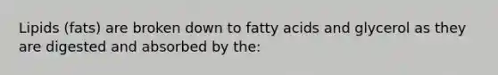 Lipids (fats) are broken down to fatty acids and glycerol as they are digested and absorbed by the: