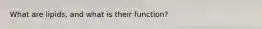 What are lipids, and what is their function?