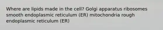 Where are lipids made in the cell? Golgi apparatus ribosomes smooth endoplasmic reticulum (ER) mitochondria rough endoplasmic reticulum (ER)