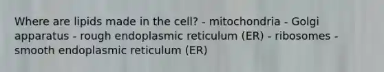 Where are lipids made in the cell? - mitochondria - Golgi apparatus - rough endoplasmic reticulum (ER) - ribosomes - smooth endoplasmic reticulum (ER)